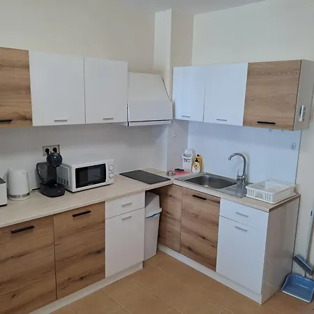 Apartament In Black Sea Star Complex *