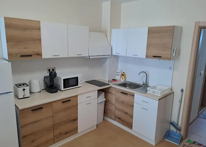 Apartman In Black Sea Star Complex *